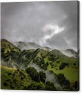 Foggy Hills, Las Gallinas Valley Canvas Print