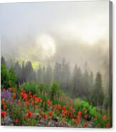 Foggy Morning Around Mount Rainier Canvas Print