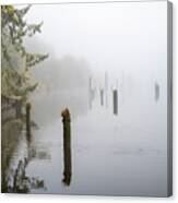 Foggy Morning At Netul River Canvas Print