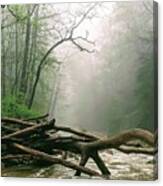 Foggy River Canvas Print