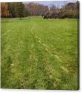 Footprints In The Grass Canvas Print