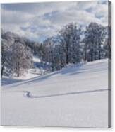 Footsteps In The Snow Canvas Print