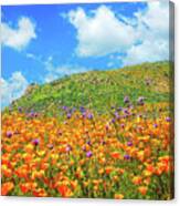 For The Love Of Poppies Canvas Print