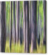 Forest Abstract - Pines Of The Croatan National Forest Canvas Print