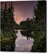 Forest At Night Photo 170 Canvas Print