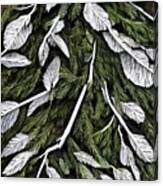 Forest Flora Canvas Print