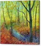 Forest Stream Canvas Print