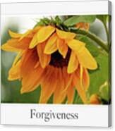 Forgiveness Canvas Print