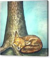 Fox And Tree Canvas Print