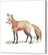 Foxy Canvas Print