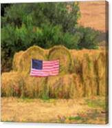Freedom In A Haystack Canvas Print