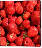 Fresh Ripe Strawberries Newly Picked Canvas Print