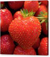 Fresh Strawberries Canvas Print