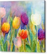 Fresh Tulips Canvas Print