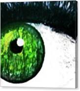 Frightening Eye Canvas Print