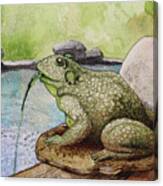 Frog Pond Canvas Print