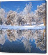 Frosted Trees Canvas Print