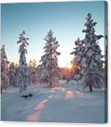 Frosty Morning In Pristine Nature Canvas Print