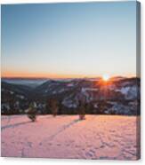 Frosty Morning Canvas Print