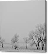 Frosty Trees Canvas Print