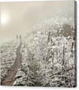 Frosty Winter Morning -  Romantic Duo Horsemen Ride Canvas Print