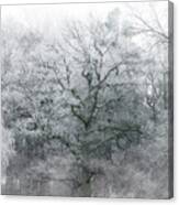 Frosty Winter Tree Canvas Print