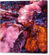 Sprague Lake Abstract, Rocky Mountain National Park Canvas Print