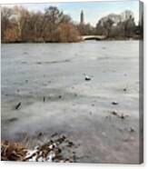 Frozen Lake, Nyc In December Canvas Print