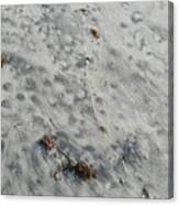 Full Frame View Of Beach Sand Canvas Print