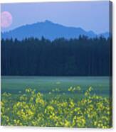 Full Moon Setting Over Mountains And Rapeseed Canvas Print