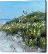 Galveston Dunes Canvas Print