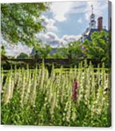 Garden Flowers At The Governor's Palace Canvas Print