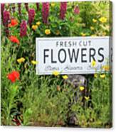 Garden Flowers With Fresh Cut Flower Sign 0771 Canvas Print