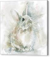 Garden Friends Rabbit Canvas Print