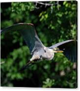 Gbh Fly-by Canvas Print