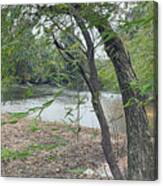 Gentle Breeze Canvas Print