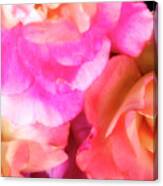 Getting Lost In Pink Petals Palm Springs Ca Canvas Print
