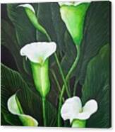 Giant Calla Lily Canvas Print