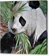 Giant Panda Portrait Canvas Print