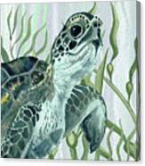 Giant Turtle Swimming In The Seaweed Under The Ocean Watercolor Painting I Canvas Print