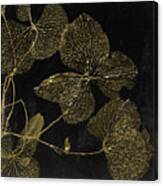 Gilded Leaves Ii Canvas Print