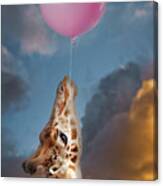 Gilly And Her Baloon Canvas Print