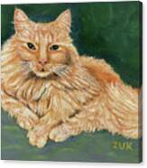 Ginger Cat Portrait Canvas Print