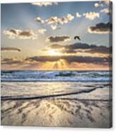 Gliding On The Rays Of Dawn Canvas Print