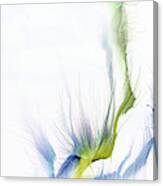 Gloriously Delicate Canvas Print