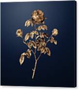 Gold Agatha Rose In Bloom On Midnight Navy N.00804 Canvas Print