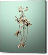 Gold Lily Of The Incas On Mint Green N.03436 Canvas Print