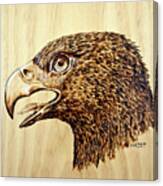 Golden Eagle Canvas Print