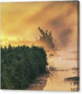 Golden Fog #8657 Canvas Print