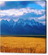 Golden Grasses And The Tetons Canvas Print